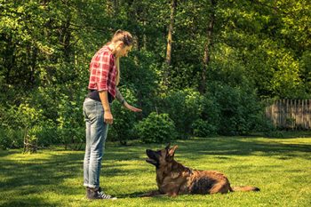 Dog Behaviorist Portland