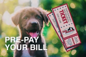 Pre-Pay Your Bill