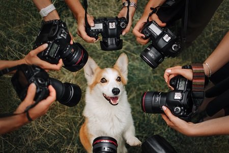 dog day care milwaukie