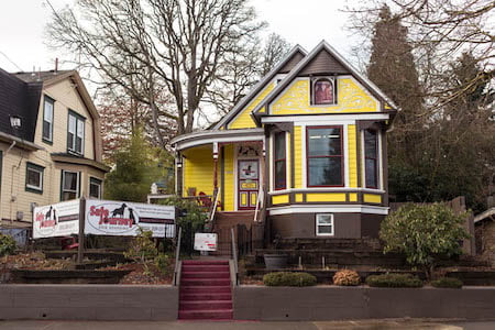 Local Doggy Daycare Portland