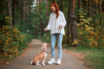 dog daycare Beaverton