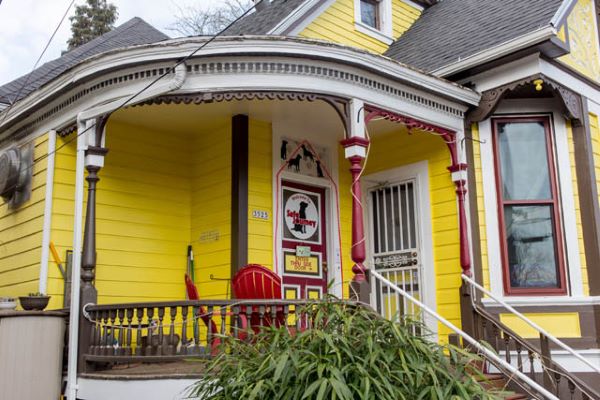 Dog Daycare in Portland